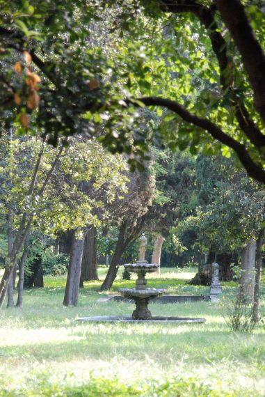 Il giardino non è particolarmente ben tenuto, ma non è certo in stato di abbandono: qualche giardiniere interviene più volte l'anno per evitare che le erbacce oscurino completamente il luogo.
