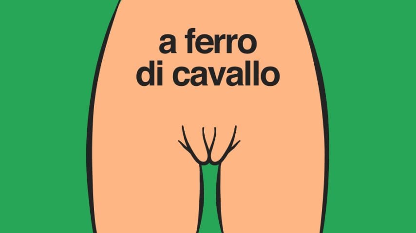 E' più aperta nella parte superiore ma chiusa in basso.