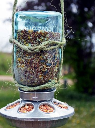 Bird feeder