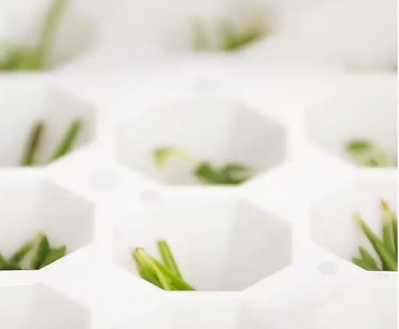 Mettete la spezia negli spazi del contenitore. Fonte: https://www.youtube.com/watch?v=E-WNS7JQjXA&t=224s