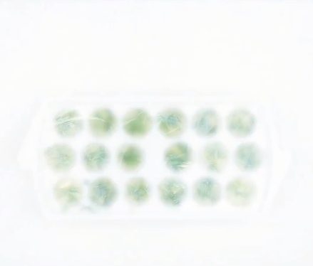 Lasciate riposare in freezer e fate congelare. Fonte: https://www.youtube.com/watch?v=E-WNS7JQjXA&t=224s