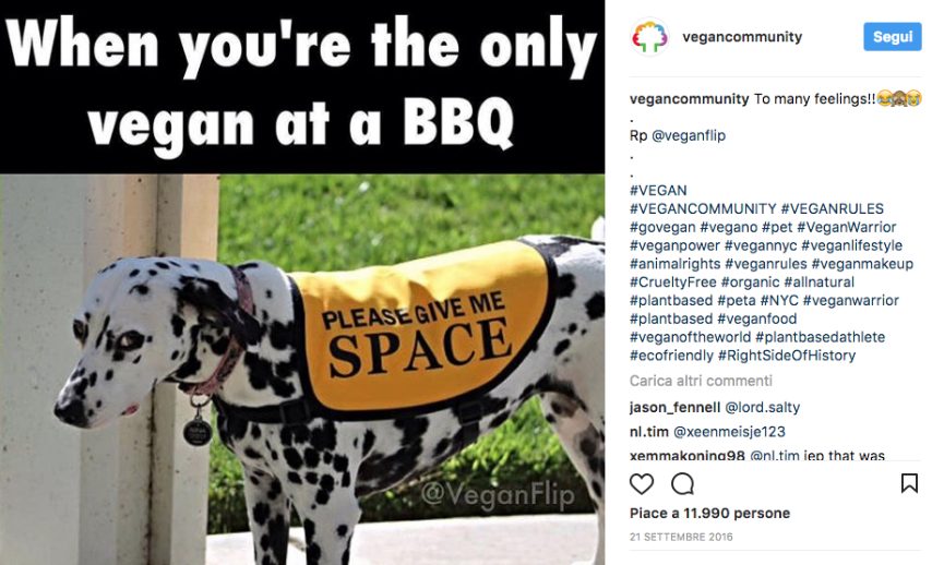 Quando sei l'unico vegano durante il BBQ