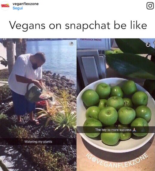 I vegani su snapchat