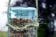 9. Bird feed