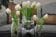20. Flowers