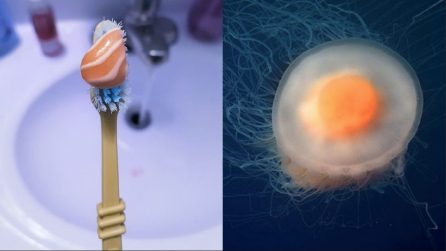 16 "cose" che assomigliano al cibo: vi verrà voglia di assaggiarle