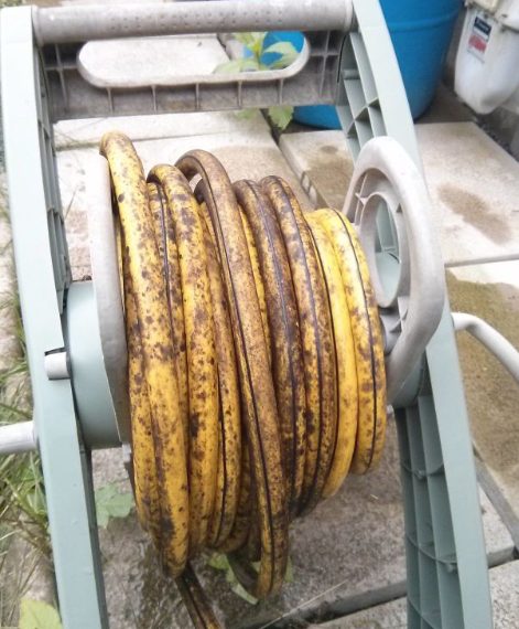 Il tubo ricorda molto la buccia della banana. http://i.imgur.com/VU6qzAM.jpg