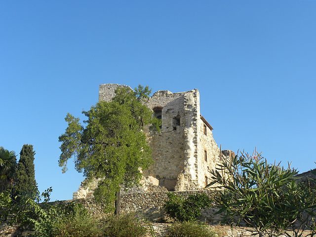 https://it.m.wikipedia.org/wiki/File:Rocca_Aldobrandesca_a_Suvereto.JPG