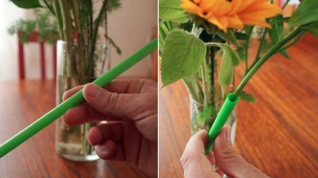 Fix droopy flowers by propping up the weak stems with thick straws.