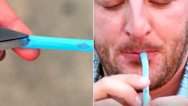 Bite the end of a straw and cut small holes to make a nice DIY flute. Here's how it works: https://www.youtube.com/watch?time_continue=12&v=pMD9kRiDzDU