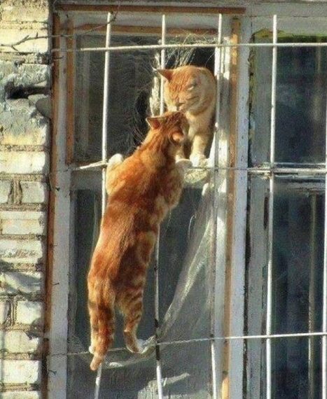 Una versione moderna di Romeo e Giulietta