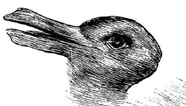 Un quiz dietro cui si cela una storia risalente a oltre 100 ani fa, oggetto di studi dello psicologo americano Jastrow