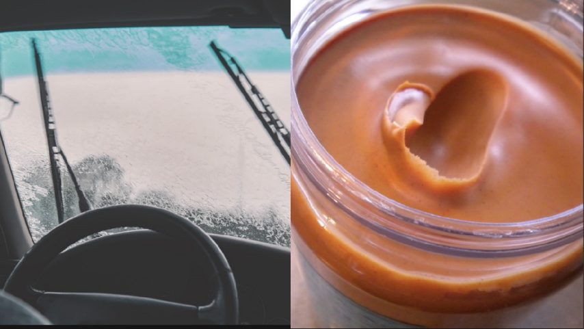 Ottimo per pulire il parabrezza dell'auto, elimina anche insetti e polvere.