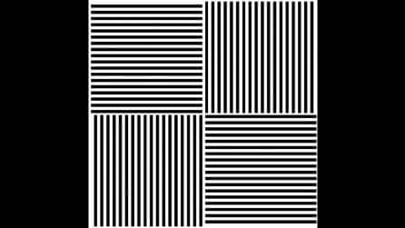 L'illusione ottica che potrebbe cambiare il modo in cui vedi i colori per mesi