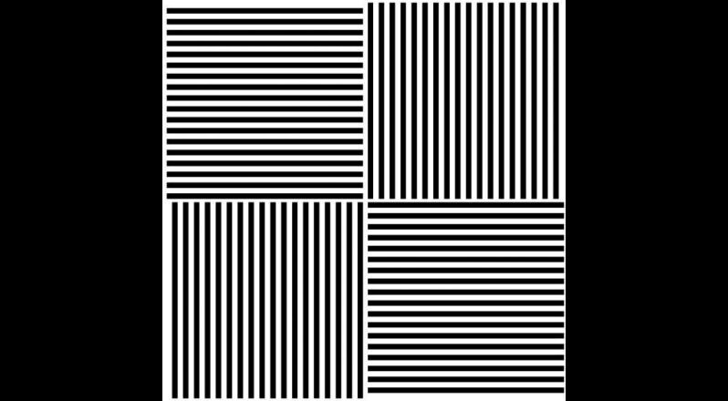 Osservate attentamente questa griglia