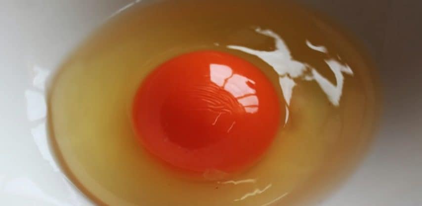 Converse Che Cambiano Colore Al Sole