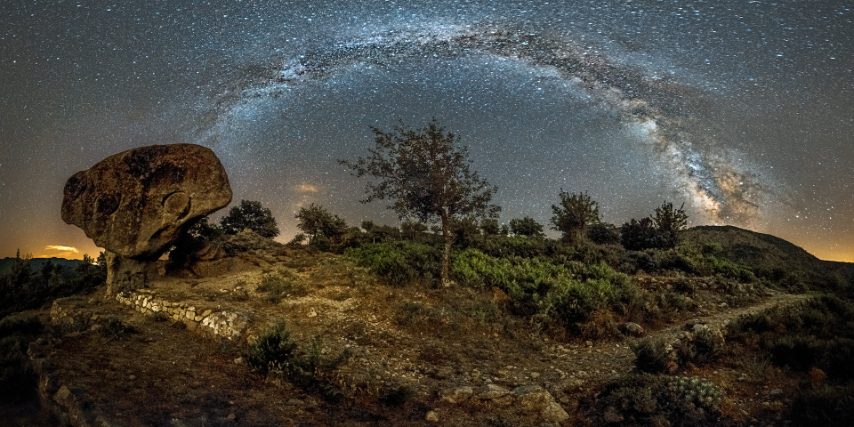 DI MASSIMILIANO PEDI