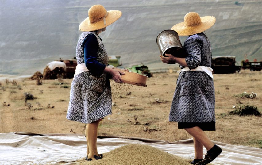 DI RICCARDO PESARESI