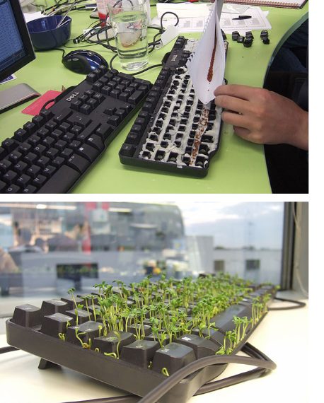 Costruisci un giardino nella tastiera del tuo collega.