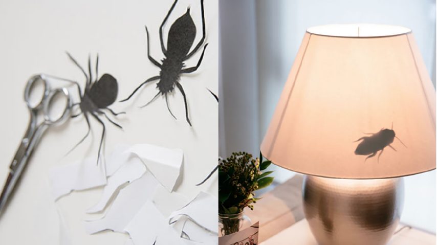 Tagliare delle sagome di insetti e metterle sotto le lampade.