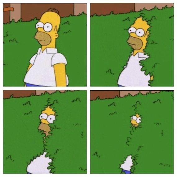 Il famoso meme riguarda una scena del cartone animato i9n cui Homer scompare tra i cespugli