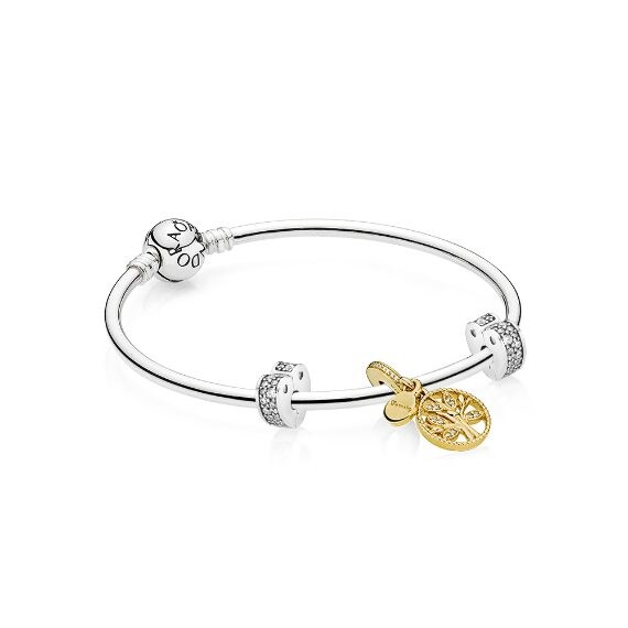 Bracciale con charm Pandora La nostra Famiglia, 199 euro invece di 226 euro.