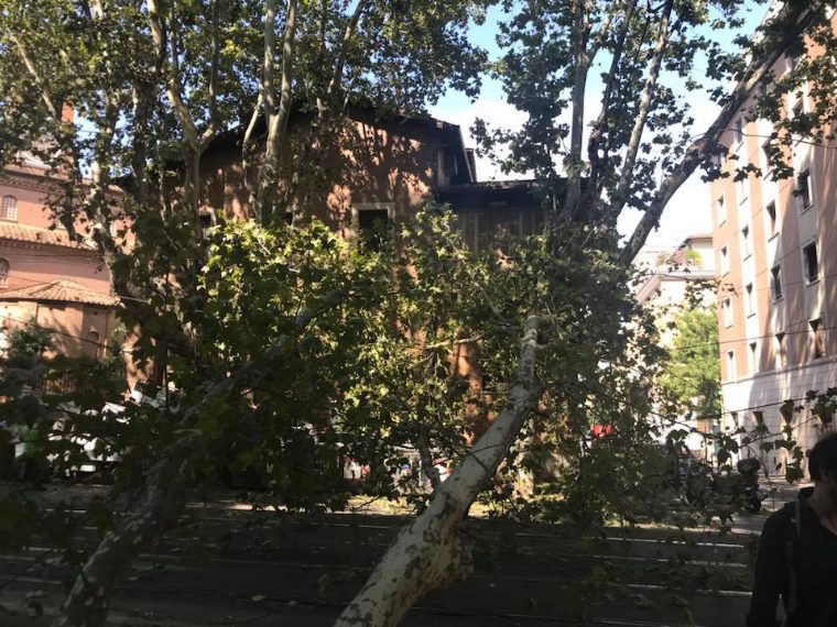 Sede Enel Roma Viale Regina Margherita
chicago