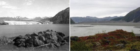 Ghiacciaio Carroll, Alaska 1906 - 2003
