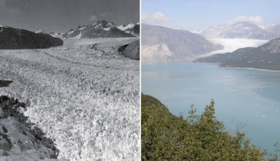 Ghiacciaio Muir, Alaska 1941 - 2004