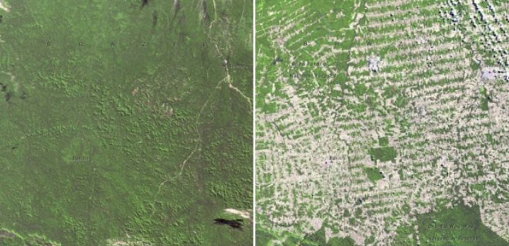 Foresta in Rondônia, Brasile 1975 - 2009