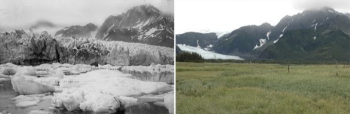 Ghiacciaio Pedersen, Alaska 1917 - 2005