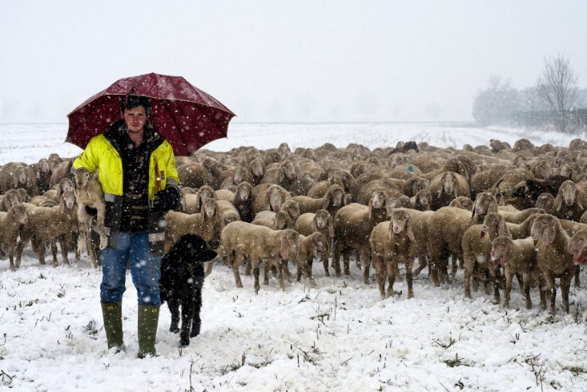 Di Giannella Vittorio