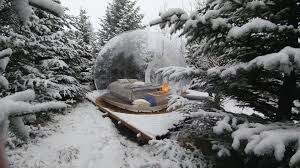 Il Buubble Hotel in Australia comprende cinque stanze a forma di bolle che sono immerse in un fitto bosco a solo due ore da Reykjavik e offrono la migliore vista dell'Aurora Boreale.