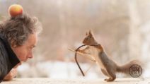 Fotografa ogni giorno per 6 anni degli scoiattoli: gli scatti sono veramente unici