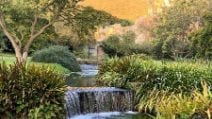 Lo splendido paesaggio del "Giardino di Ninfa": un gioiello tra Norma e Sermoneta