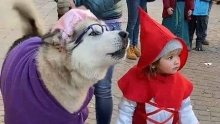 La piccola Agata e il suo cane Yanuk fanno impazzire i social