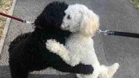 Non si vedevano dalla nascita: dopo un annosi incontrano e si abbracciano amorevolmente
