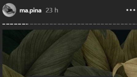 Camilla Mangiapelo parla ai fan di Riccardo Gismondi e Nilufar Addati