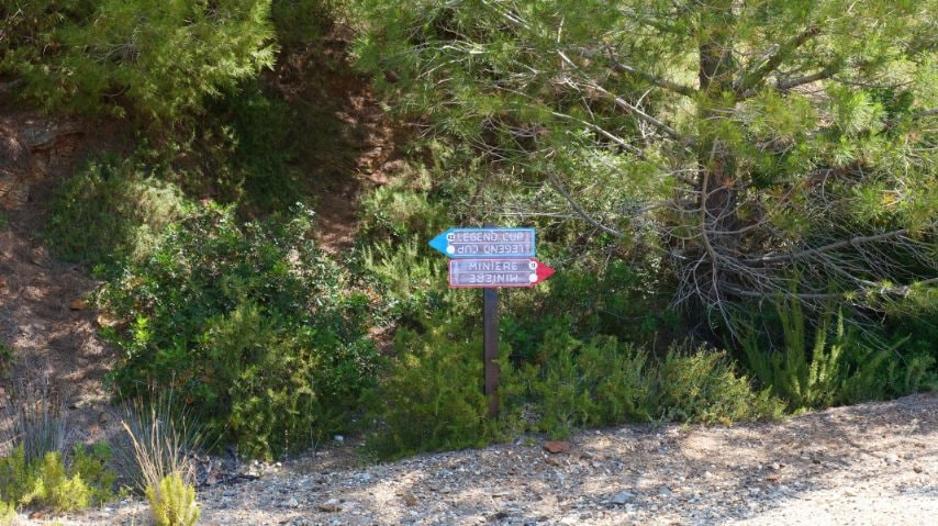 Foto di Stefano Govi