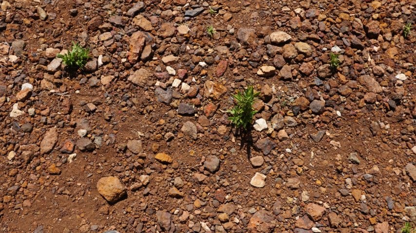 Foto di Stefano Govi