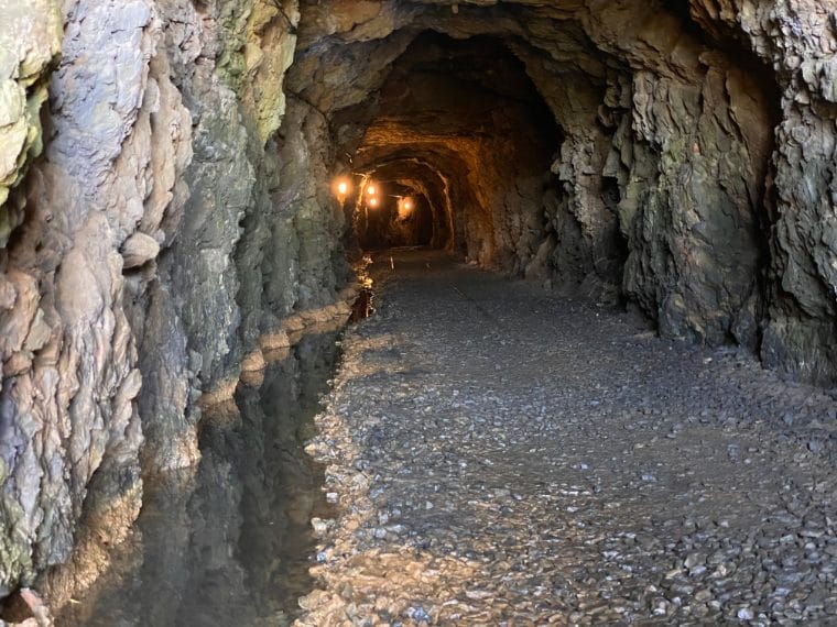 Foto di Stefano Govi