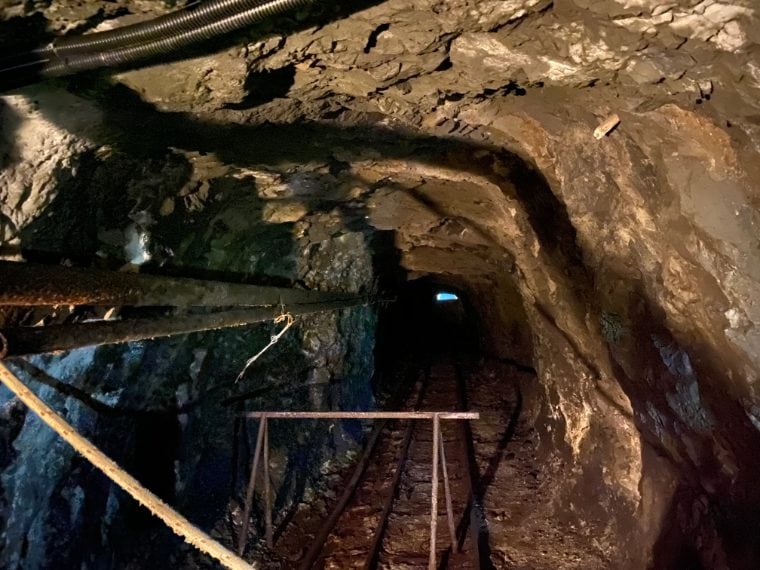 Foto di Stefano Govi