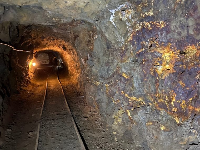 Foto di Stefano Govi