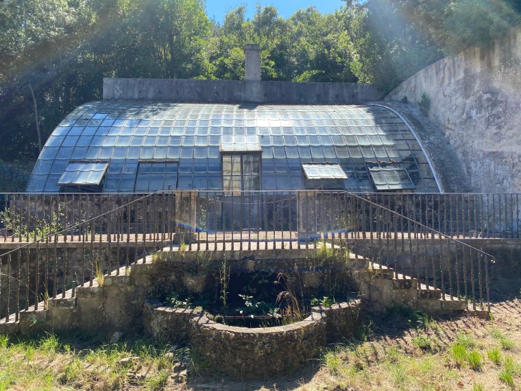 Foto di Stefano Govi