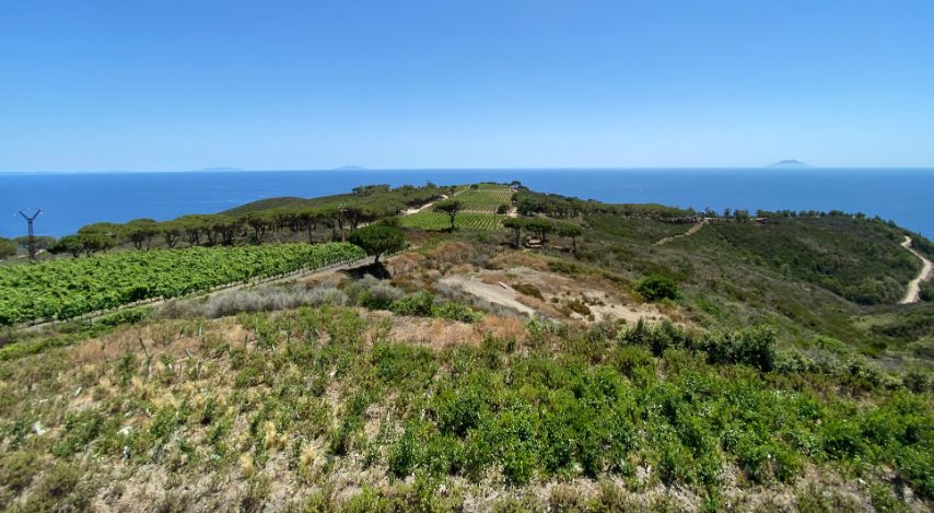 Foto di Stefano Govi