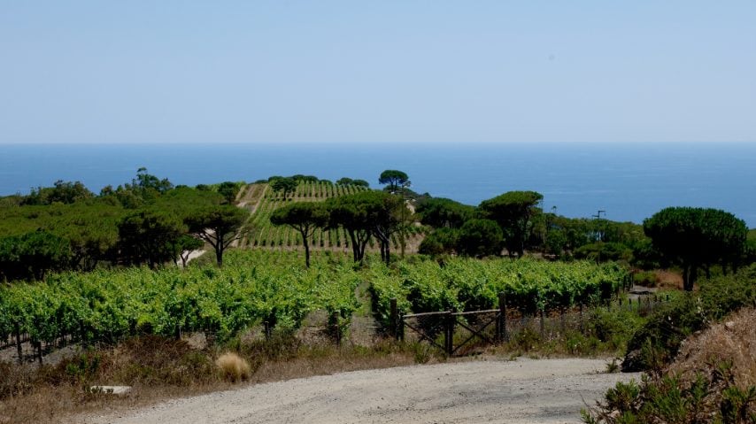 Foto di Stefano Govi