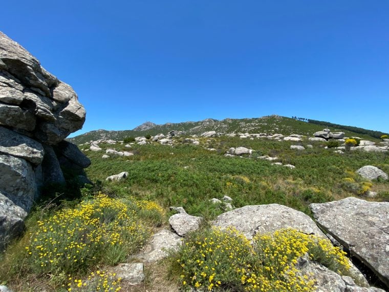 Foto di Stefano Govi