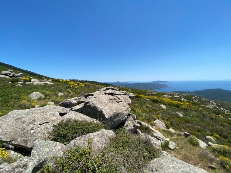 Foto di Stefano Govi