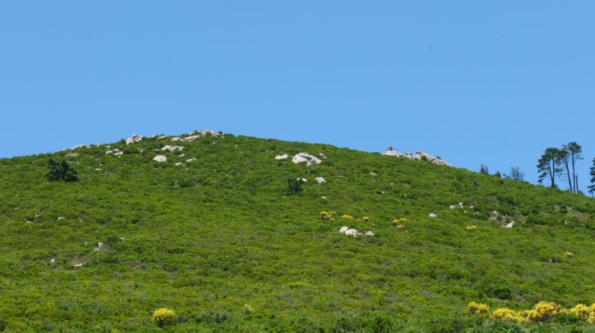Foto di Stefano Govi