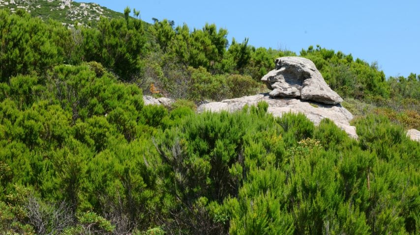 Foto di Stefano Govi